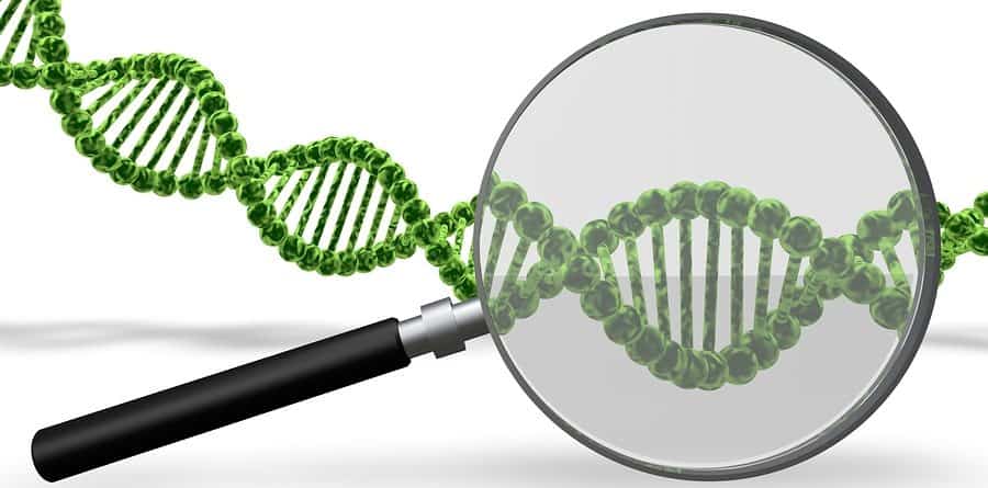 genetics and addiction