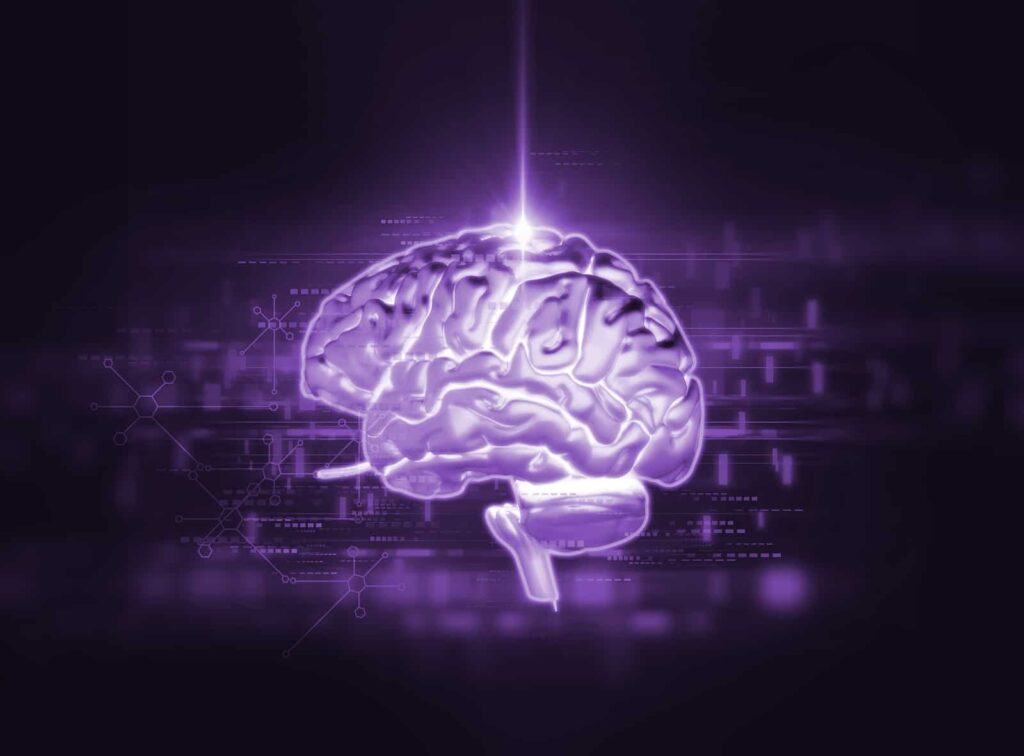 3D model representing the effects of addiction on the brain