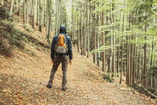 A male hiking alone in a large forest.
